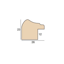 Load image into Gallery viewer, L2527 (18)
